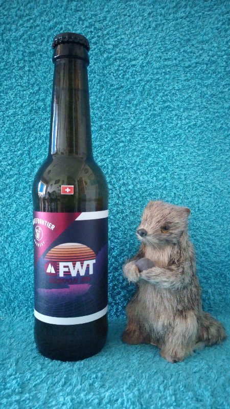 FWT SESSION IPA BIÈRE ARTISANALE SUISSE 3 HOUBLONS 3,5° 33cl